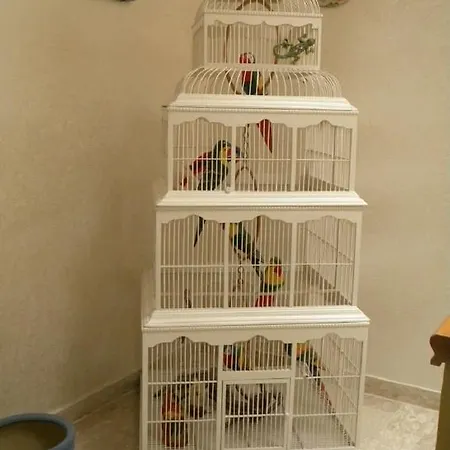 La Voliera Bed & Breakfast *